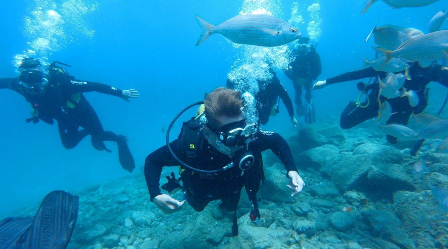 Scuba diving in Tenerife